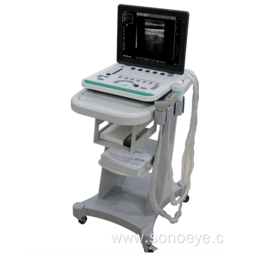 Portable Ultrasound Labtop Type